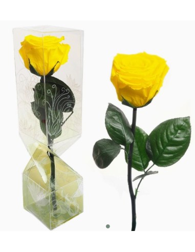 ROSA PRESERVADA TALLO CORTO AMARILLO