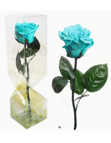 ROSA PRESERVADA TALLO CORTO TURQUESA