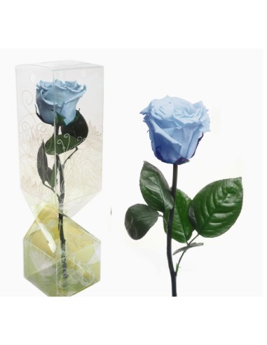 ROSA PRESERVADA TALLO CORTO CELESTE