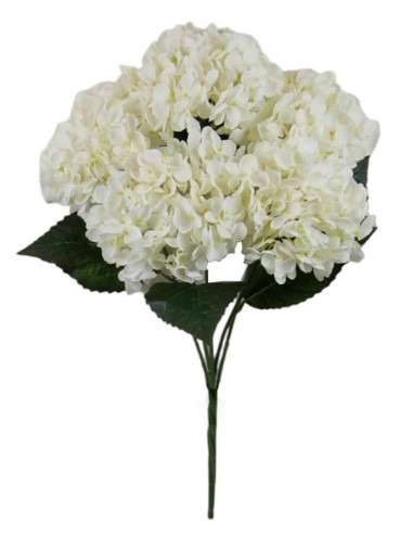 R.HORTENSIA X 5 BLANCO