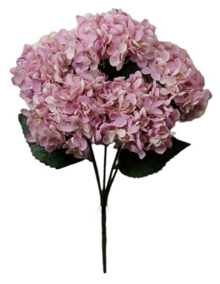 R.HORTENSIA X 5 LILA