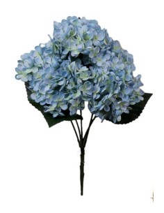 R.HORTENSIA X 5 AZUL