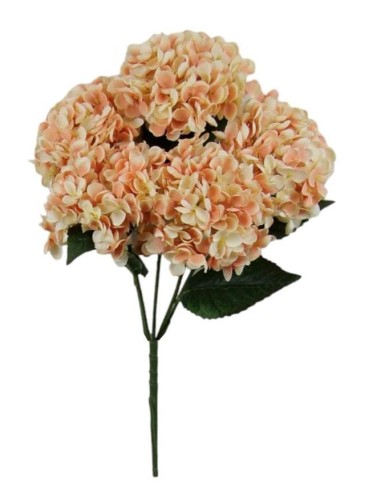 R.HORTENSIA X 5 MIEL