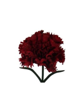 V.CLAVEL MICROPEACH ROJO