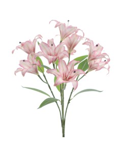 RAMO LILIUM (5202-07)