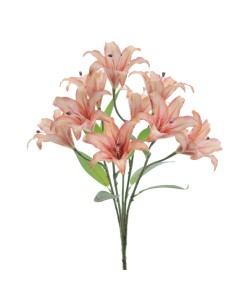 RAMO LILIUM (5202-14)