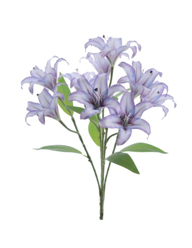 RAMO LILIUM (5202-16)