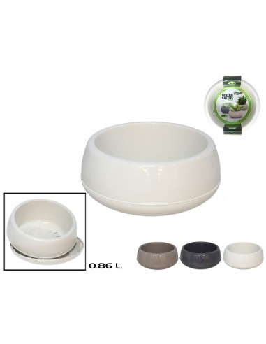 CENTRO CACTUS ELVAN 0,86L SURTIDO