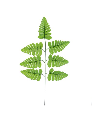 HOJA HELECHO (T.N.) 4250-09