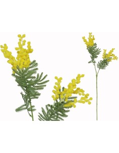 VARA MIMOSA X 2 -75CM (AMARILLO)