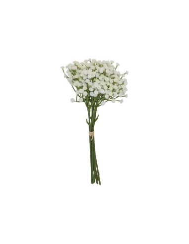 ATADO GYPSOPHILA BICOLOR X 7-33 CM (CR)