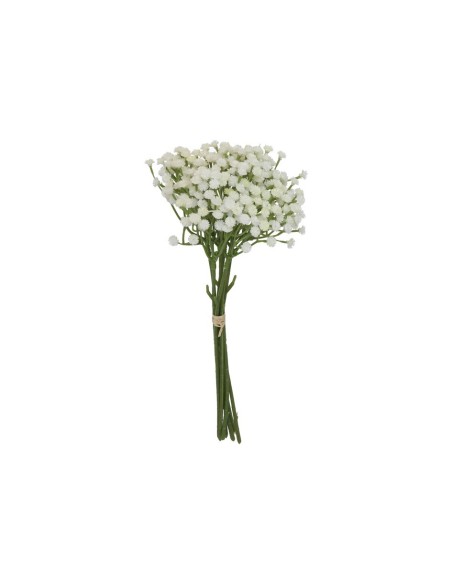 ATADO GYPSOPHILA BICOLOR X 7-33 CM (CR)