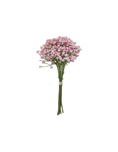 ATADO GYPSOPHILA BICOLOR X 7-33 CM (ROS)