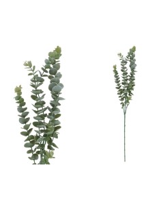 VARA EUCALIPTO PLAS X 5 -82 CM (VD/CL)