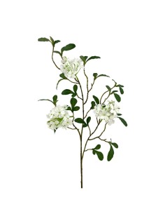 CELESTINA X3 POLIEST.CREMA 66cm(7cm)