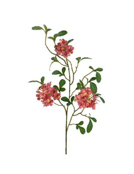 CELESTINA X3 POLIEST.BURDEOS 66cm(7cm)