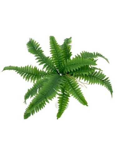 HELECHO X20 75CM WD20