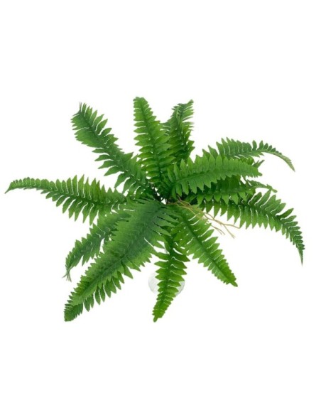 HELECHO X20 75CM WD20