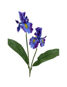 IRIS X2 POLISTER LILA 62cm(11cm)