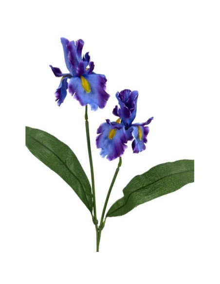 IRIS X2 POLISTER LILA 62cm(11cm)