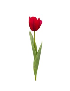 R.TULIPAN X1 TACT.NATUR., ROJO 48cm(6cm)