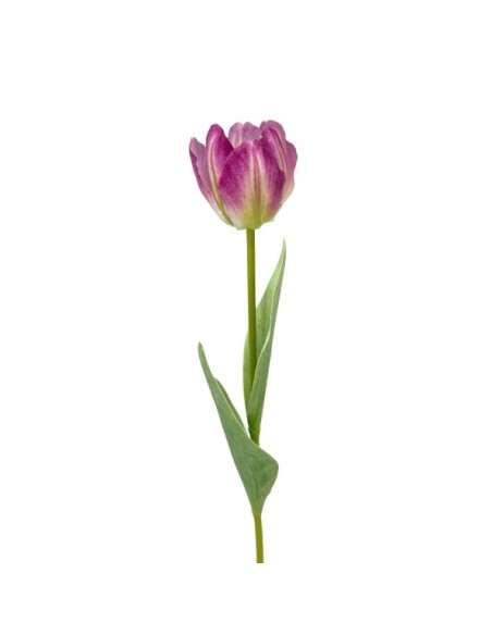 R.TULIPAN X1 TACT.NATUR., LILA 48cm(6cm)