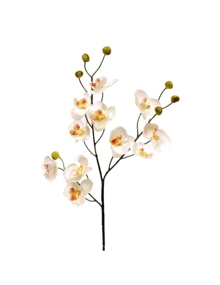 ORQUIDEAX11 CREMA 58CM(11CM)