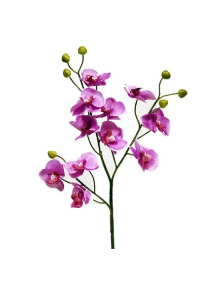 ORQUIDEAX11 LILA 58CM(11CM)
