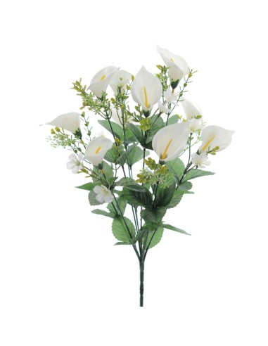 RAMO CALAS (8570-11)