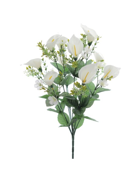 RAMO CALAS (8570-11)