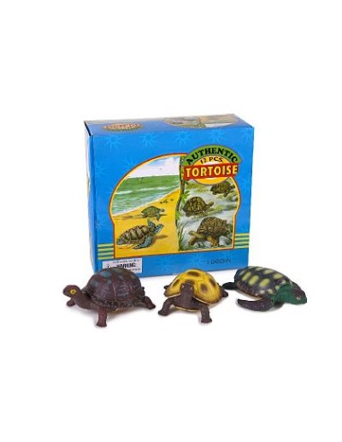 ANIMALES TORTUGAS EXP.12