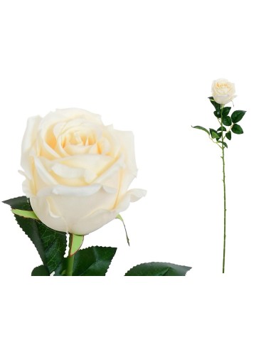 VARA CAPULLO CLASIC (S) - 78CM (BEIG)