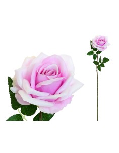 VARA ROSA OPEN-68CM (VIOLETA)