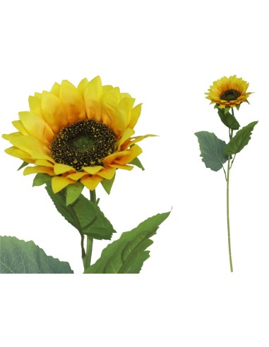 VARA GIRASOL X 1 D 13 CM X 60 CM