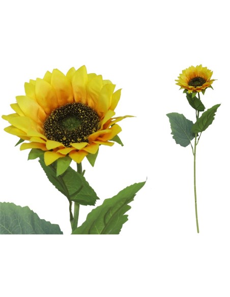 VARA GIRASOL X 1 D 13 CM X 60 CM