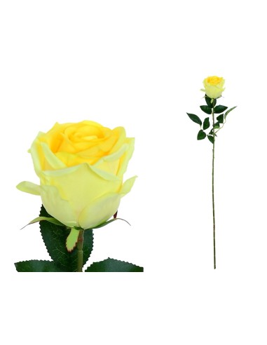 VARA CAPULLO CLASIC (S) -78CM (AMARILLO)