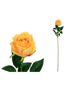 VARA CAPULLO CLASIC (S) - 78CM (TE)