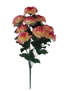 CLAVEL MICROPEACH X9 (15)