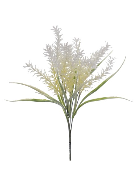 RAMO SCALA (6302-01)