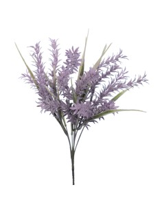 RAMO SCALA (6302-16)