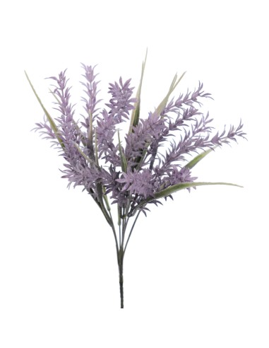 RAMO SCALA (6302-16)