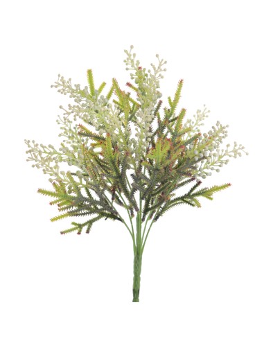 RAMO ACHILEA 6310-01