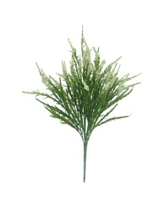 RAMO ERICA 43 CMS  6342-01