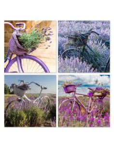 CANVAS LILUNA 4 SURT. 40X40X1,5CM