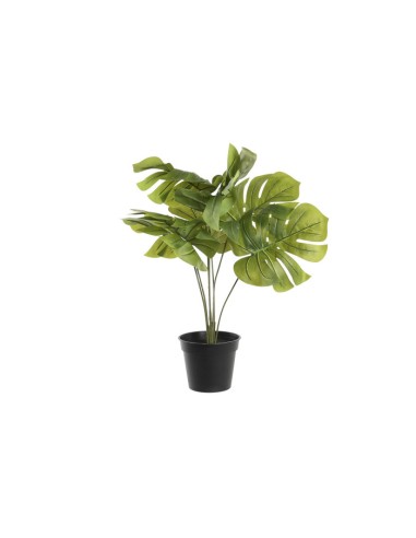 PLANTA PVC 65X65X60 MONSTERA VERDE