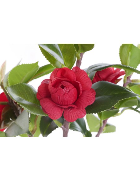 PLANTA PVC EVA 23X18X37 ROSAL ROJO