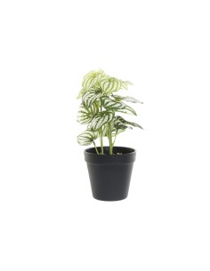 PLANTA PVC PLASTICO 13X13X27 VERDE