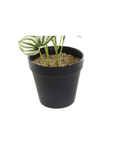 PLANTA PVC PLASTICO 13X13X27 VERDE