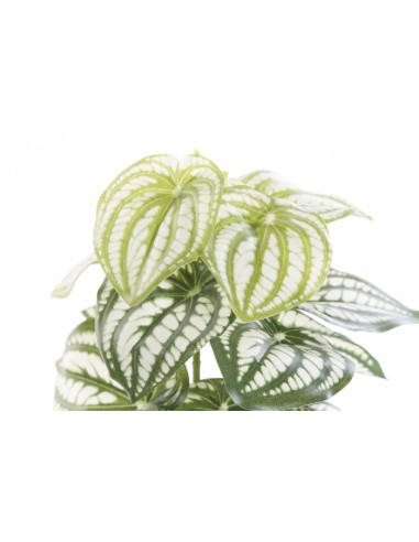 PLANTA PVC PLASTICO 13X13X27 VERDE