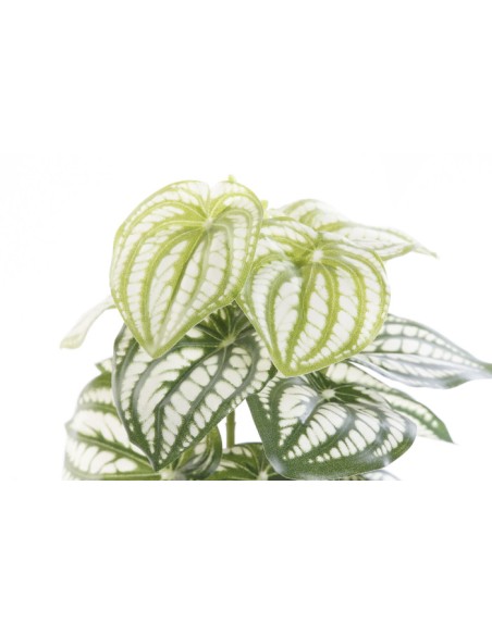 PLANTA PVC PLASTICO 13X13X27 VERDE